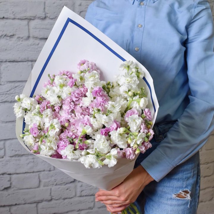 Маттиола в Томске