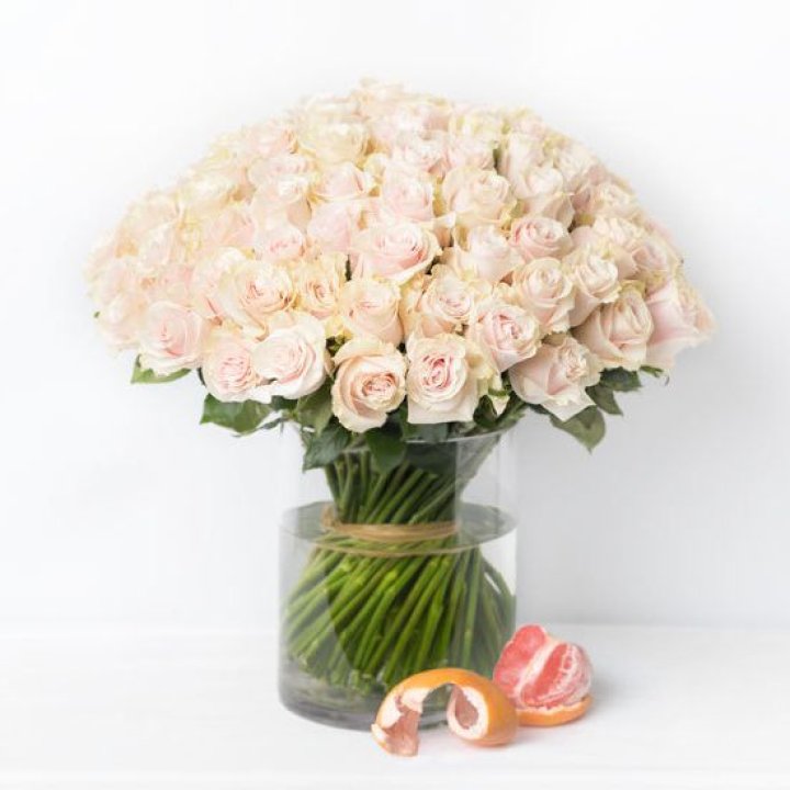 101 кремовая роза в Томске