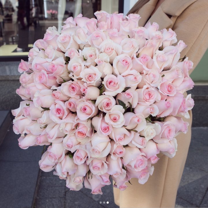 Розы "Пинк бум" в Томске