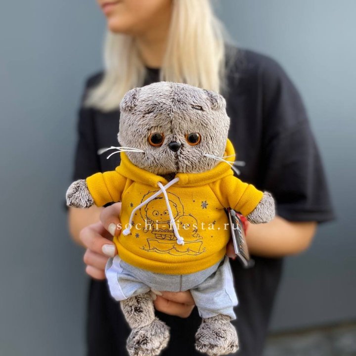 Кот Басик в худи в Томске
