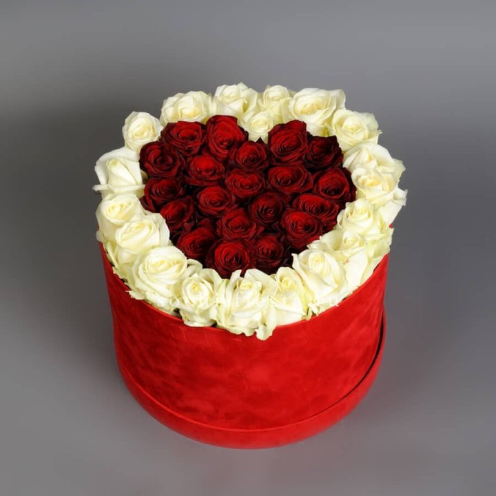 39 красных и белых роз в цилиндре в Томске