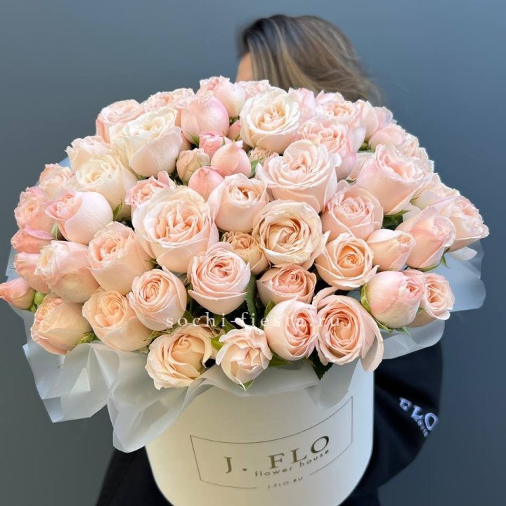 Бомбастик бокс Премьер в Томске