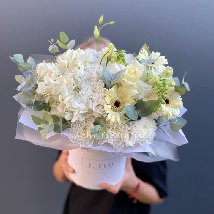  Коробочка  "Луна" в Томске