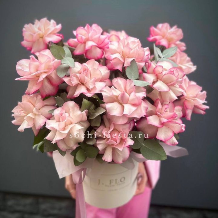 17 Французских  роз Венди в боксе в Томске