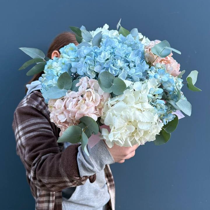 Гортензии в коробочке в Томске