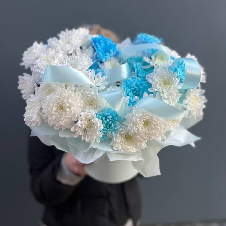 Хризнтемы в боксе в Томске