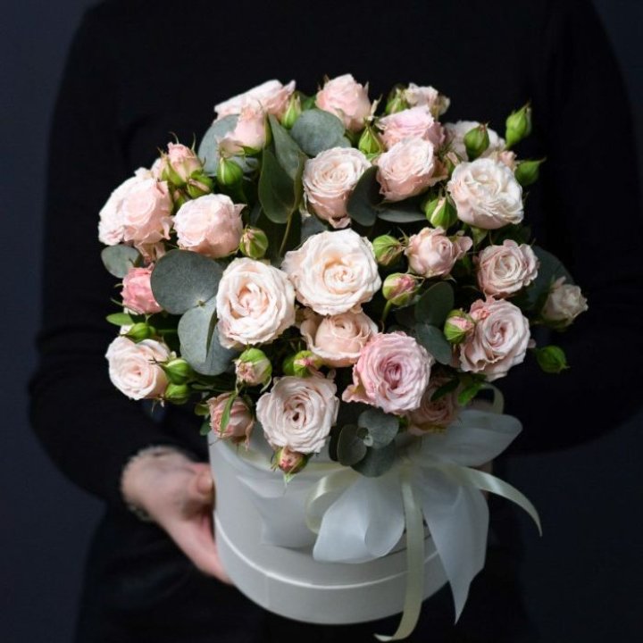 Бомбастик бокс №2 в Томске