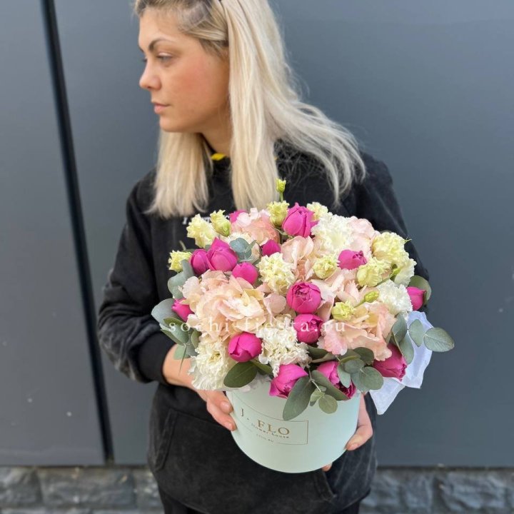 Сборный бокс премьер в Томске