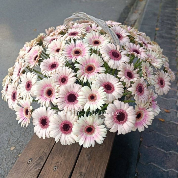 Корзина с герберами  в Томске