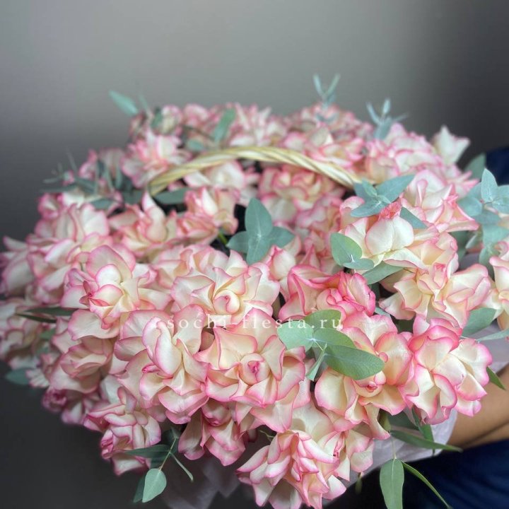 51 джумилия  в корзине   в Томске