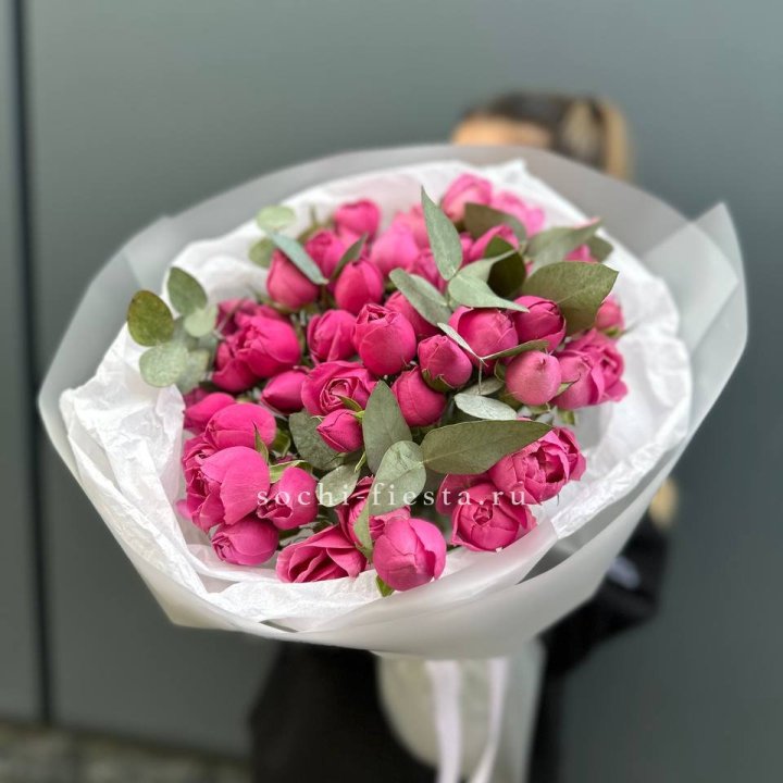 17 Мисти бабблс в Томске