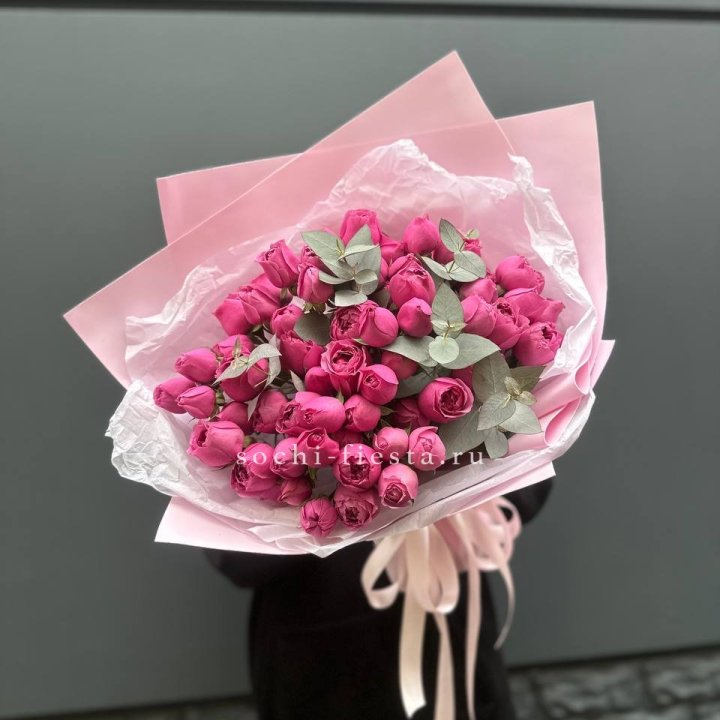 25 Мисти бабблс в Томске