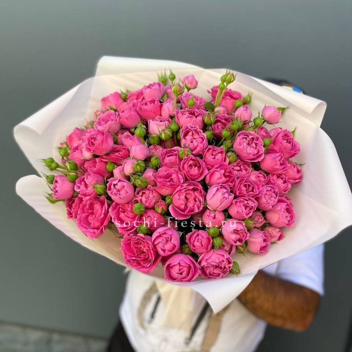 Мисти Баблс 35шт в Томске