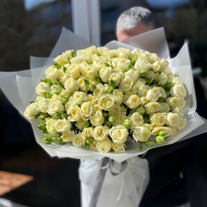 Белые кустовые розы 31 шт в Томске