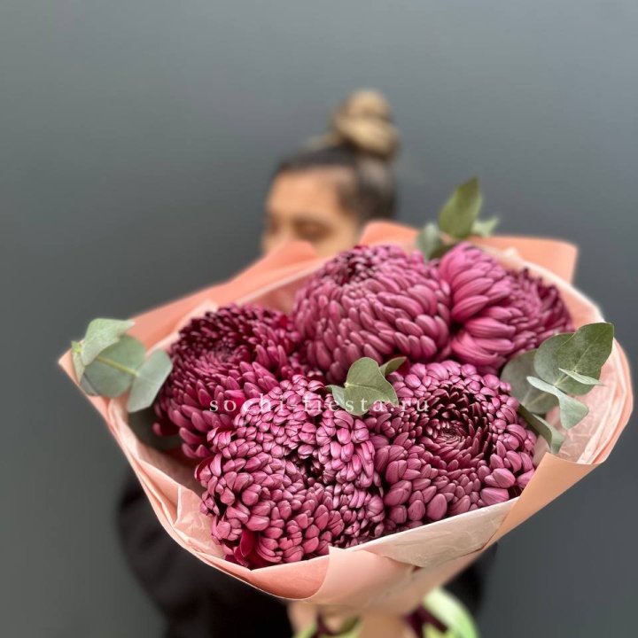 Хризантемы  Бигуди  в Томске