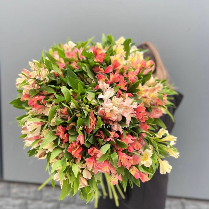 51 альстромерия в Томске