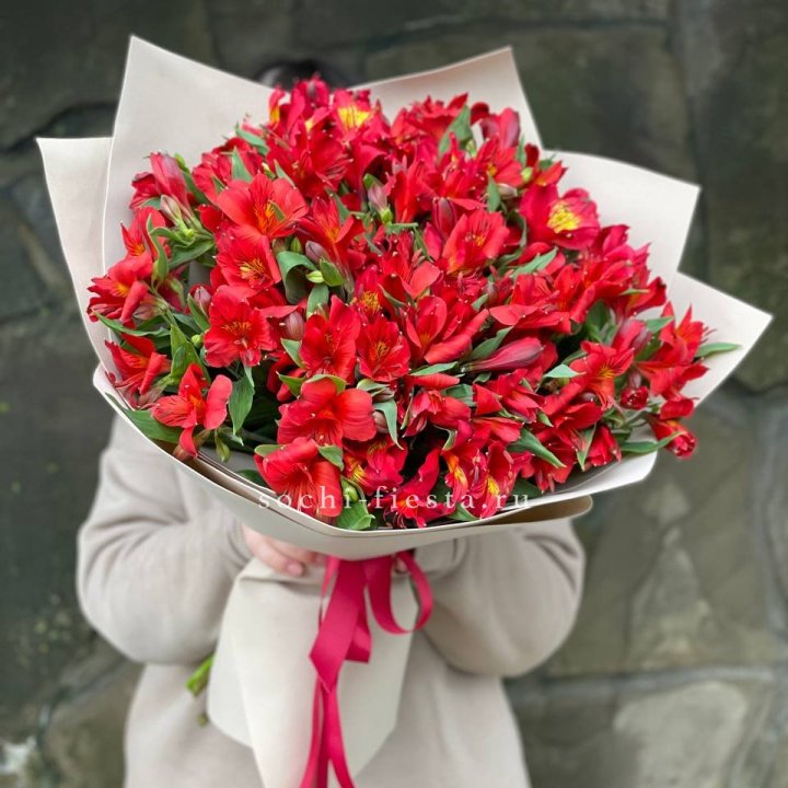 51 альстромерия в Томске