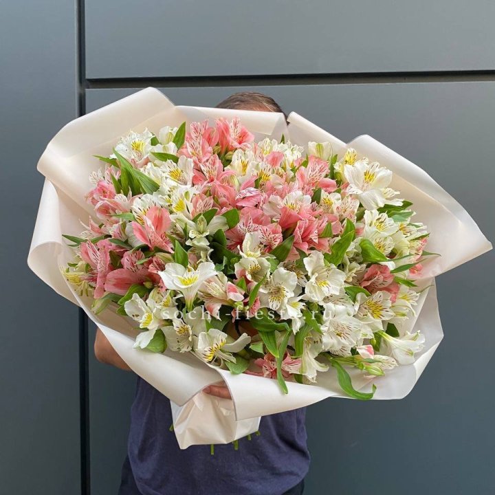 39 альстромерий в Томске