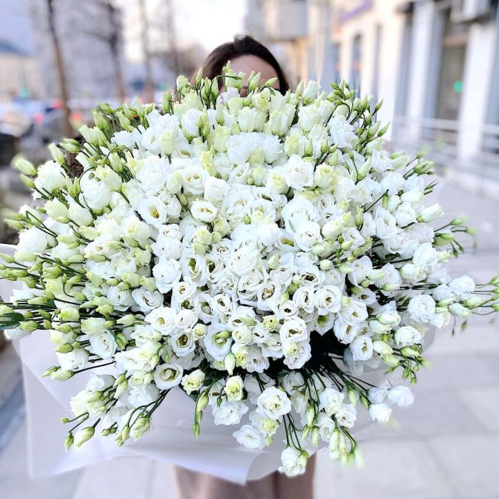 101 белая эустома в Томске