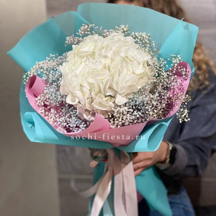 Гортензия "Райдов" в Томске