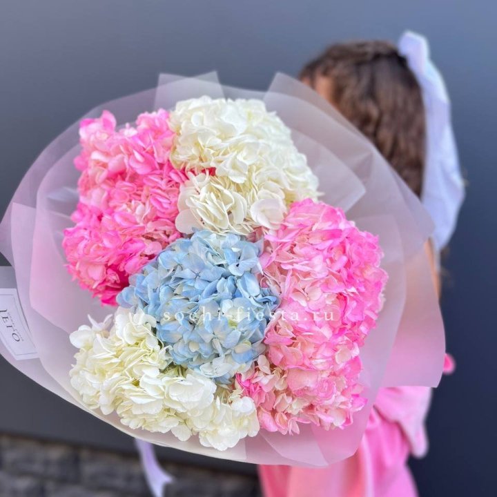 7 гортензий микс в Томске