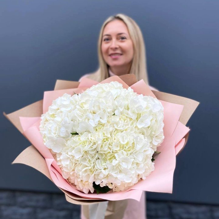 Гортензия белая в Томске