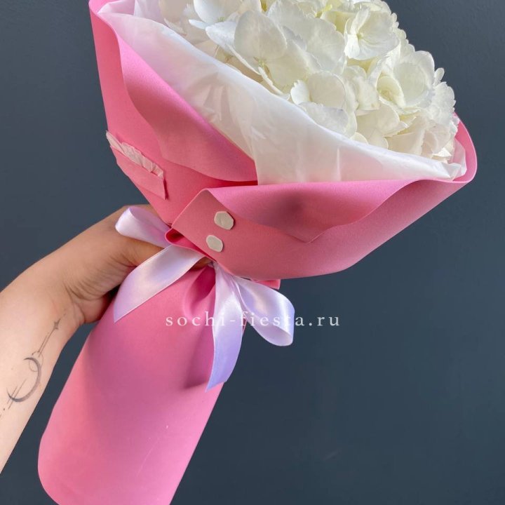 Гортензия в розовом пиджаке в Томске