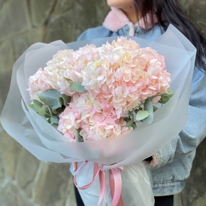 5 розовых гортензий в Томске