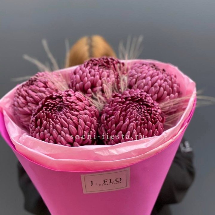 Хризантемы  Бигуди с стифой в Томске