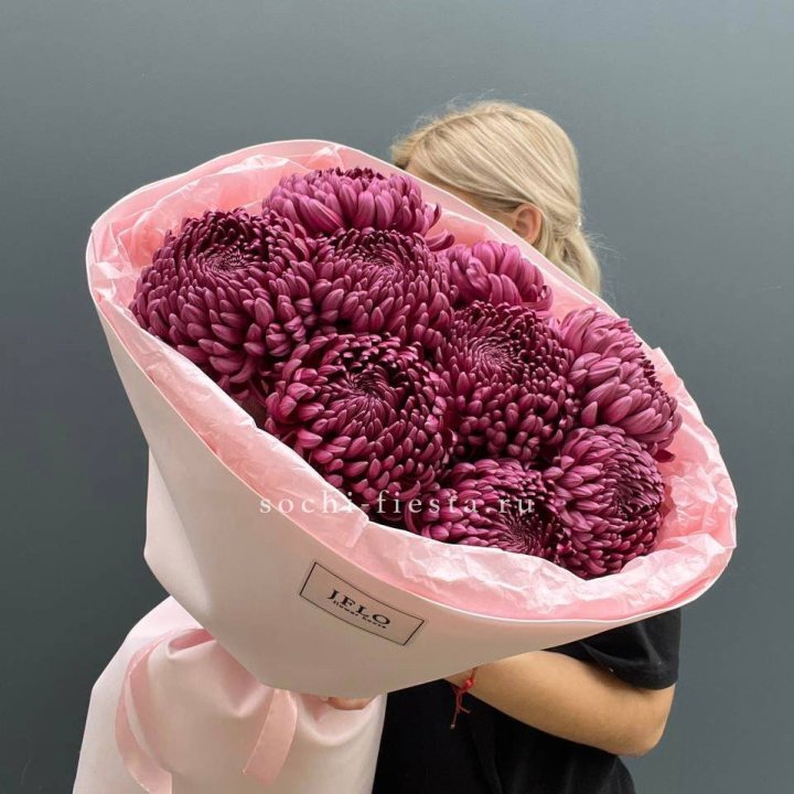 9 хризантем бигуди в Томске