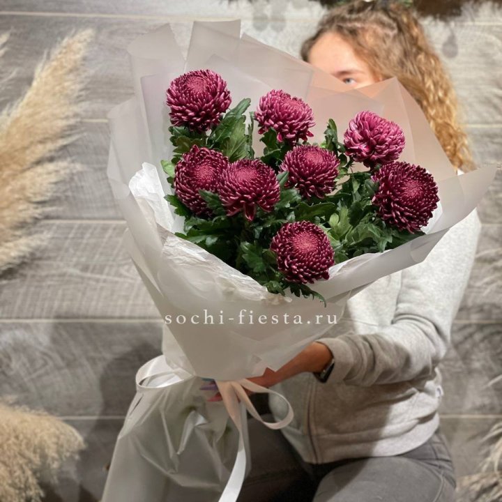 Хризантемы Бигуди в Томске
