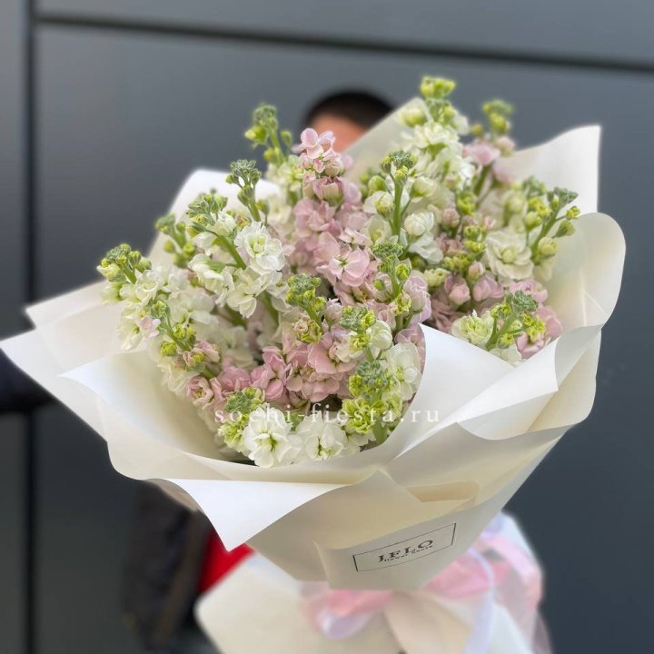 29 маттиол  в Томске