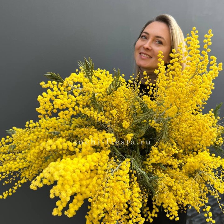 Охапка мимозы №2 в Томске