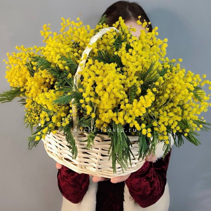 Корзина ароматной мимозы в Томске