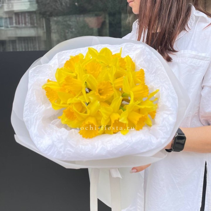 Нарциссы 25 шт в Томске