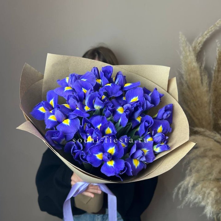 Ирисы в Томске