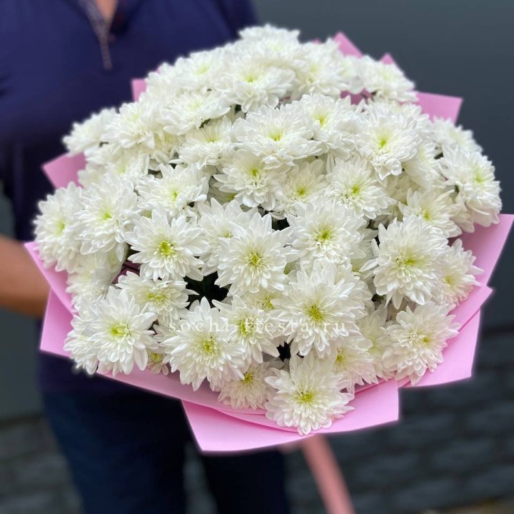  Букет 15 хризантем  в Томске