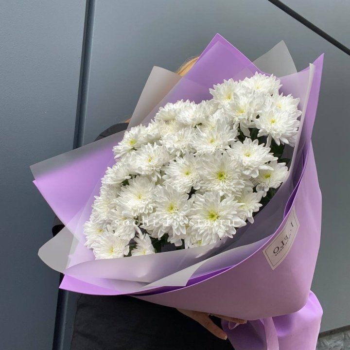  7 хризантем  в Томске