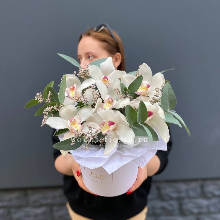 7 орхидей в боксе в Томске