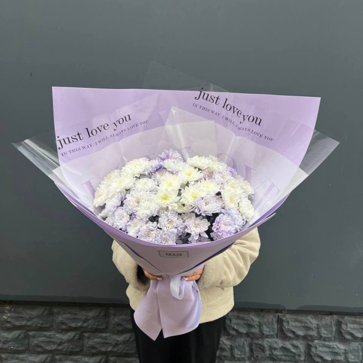 9 воздушных хризантем в Томске