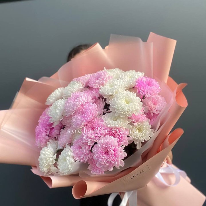  Букет бело-розовых хризантем  в Томске