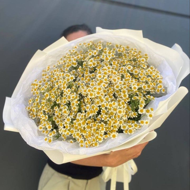 Букет ромашек №2 в Томске