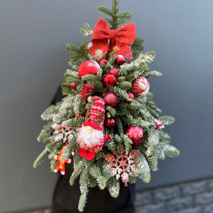 Новогодняя елочка "Ред" в Томске