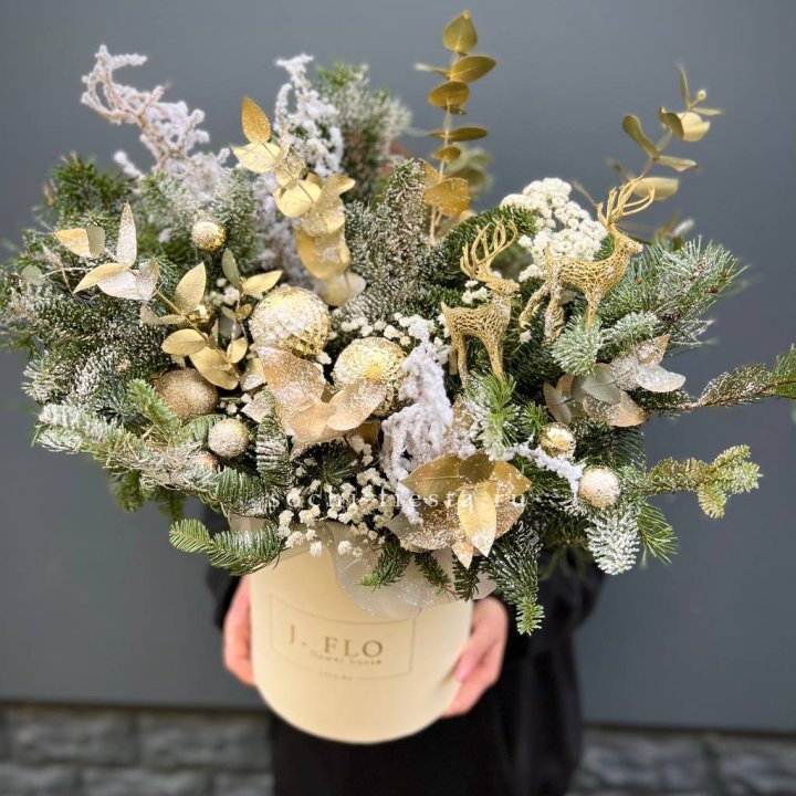 Золотой бокс с нобилисом в Томске