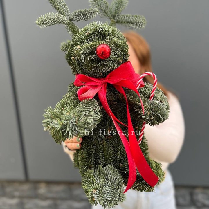 "Олень" из нобилиса в Томске