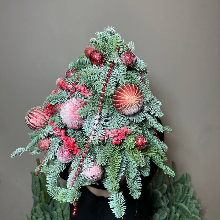 Ёлка красная в Томске