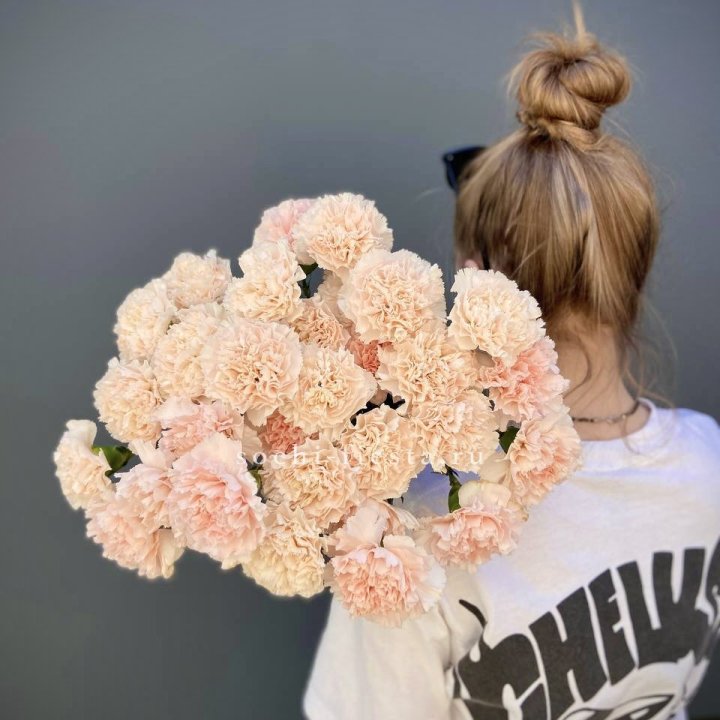 Охапка диантусов  в Томске