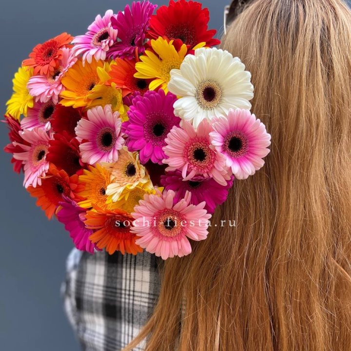 Охапка гербер  в Томске