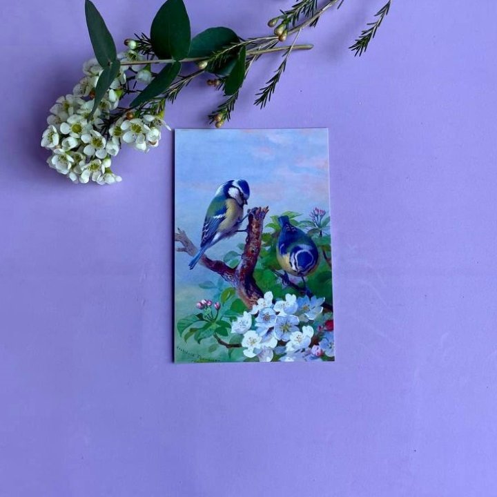 Открытка к букету "Птицы" в Томске