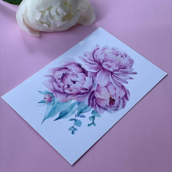 Открытка к букету "Пионы" в Томске